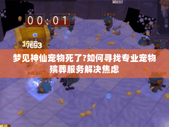 梦见神仙宠物死了?如何寻找专业宠物殡葬服务解决焦虑