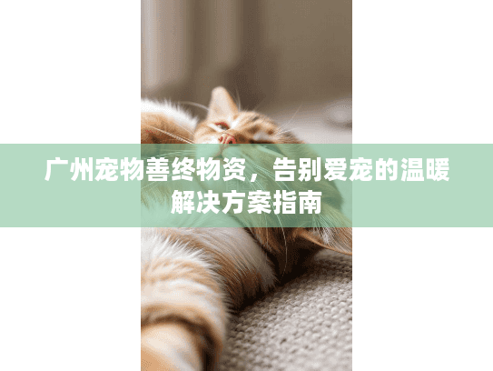 广州宠物善终物资，告别爱宠的温暖解决方案指南