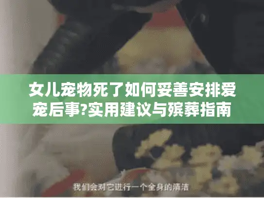 女儿宠物死了如何妥善安排爱宠后事?实用建议与殡葬指南