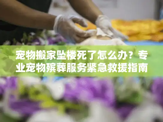 宠物搬家坠楼死了怎么办？专业宠物殡葬服务紧急救援指南