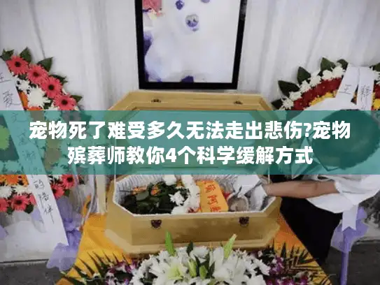 宠物死了难受多久无法走出悲伤?宠物殡葬师教你4个科学缓解方式