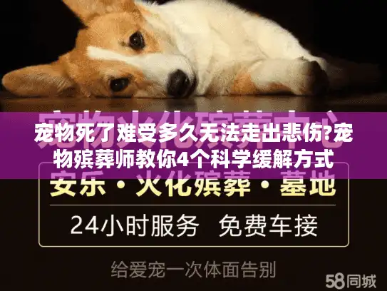 宠物死了难受多久无法走出悲伤?宠物殡葬师教你4个科学缓解方式