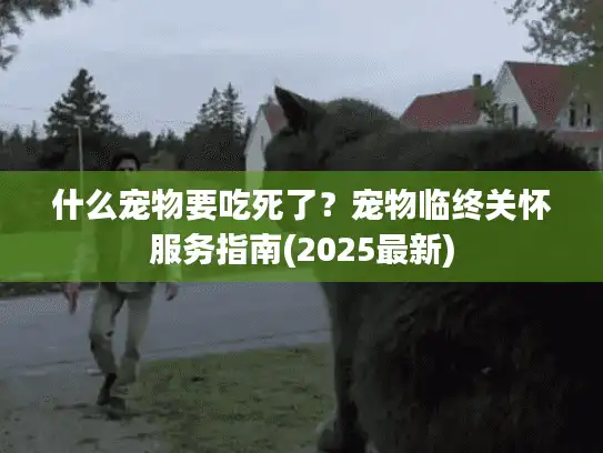 什么宠物要吃死了？宠物临终关怀服务指南(2025最新)