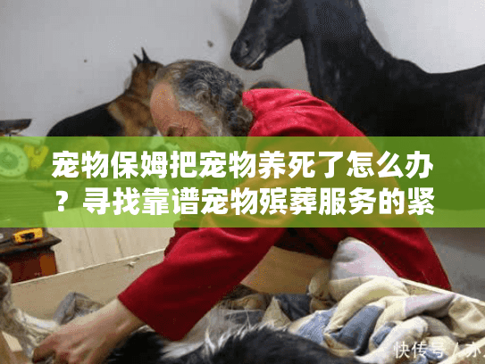宠物保姆把宠物养死了怎么办？寻找靠谱宠物殡葬服务的紧急指南