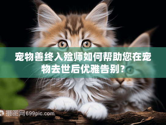 宠物善终入殓师如何帮助您在宠物去世后优雅告别？