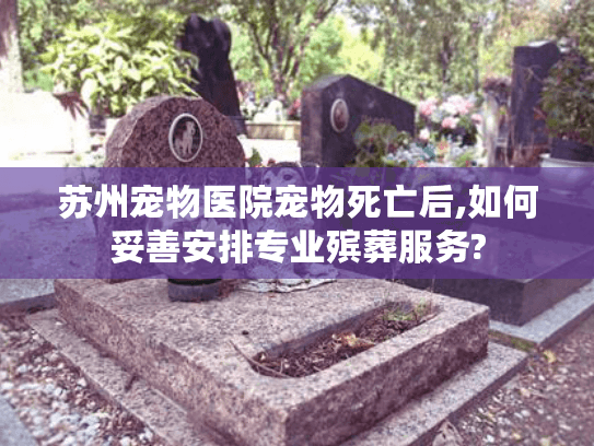 苏州宠物医院宠物死亡后,如何妥善安排专业殡葬服务?