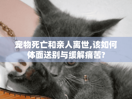 宠物死亡和亲人离世,该如何体面送别与缓解痛苦? 宠物死亡和亲人离世,该如何体面送别与缓解痛苦?