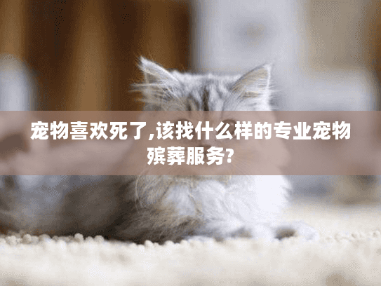 宠物喜欢死了,该找什么样的专业宠物殡葬服务? 宠物喜欢死了,该找什么样的专业宠物殡葬服务?