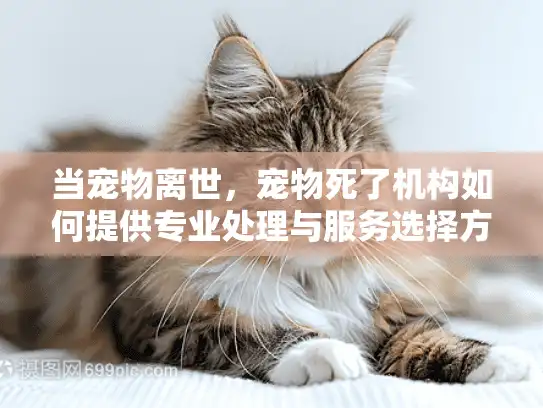 当宠物离世，宠物死了机构如何提供专业处理与服务选择方案