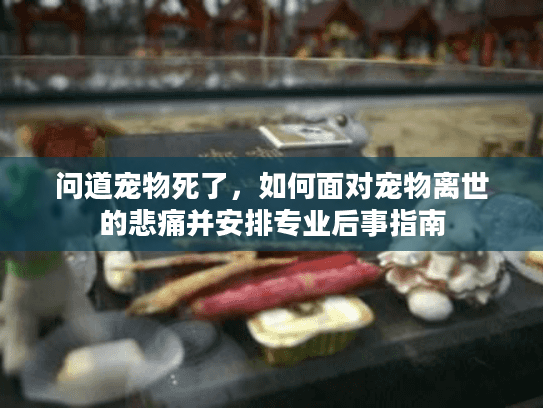 问道宠物死了,如何面对宠物离世的悲痛并安排专业后事指南 问道宠物死了,如何面对宠物离世的悲痛并安排专业后事指南