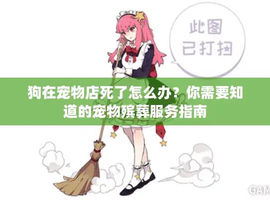 狗在宠物店死了怎么办？你需要知道的宠物殡葬服务指南