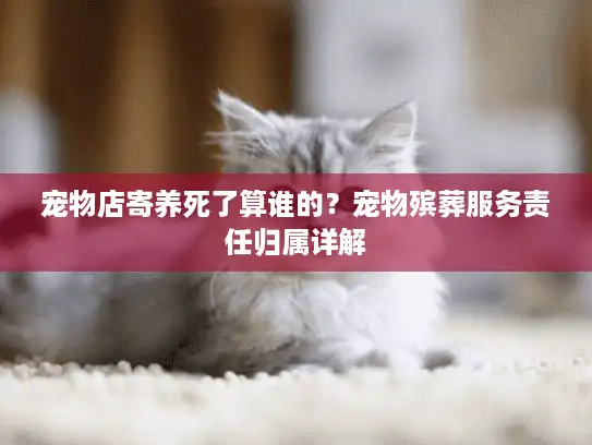 宠物店寄养死了算谁的？宠物殡葬服务责任归属详解
