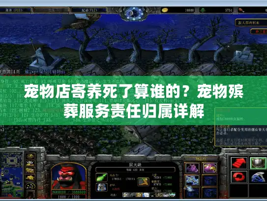 宠物店寄养死了算谁的？宠物殡葬服务责任归属详解