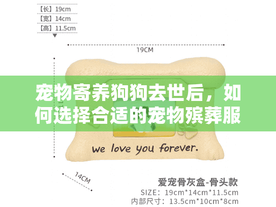宠物寄养狗狗去世后，如何选择合适的宠物殡葬服务？