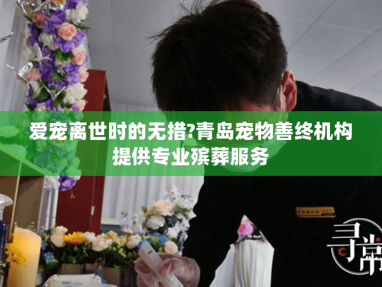 爱宠离世时的无措?青岛宠物善终机构提供专业殡葬服务