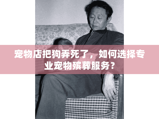 宠物店把狗弄死了,如何选择专业宠物殡葬服务? 宠物店把狗弄死了,如何选择专业宠物殡葬服务?