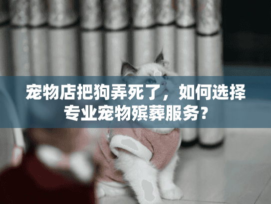 宠物店把狗弄死了,如何选择专业宠物殡葬服务? 宠物店把狗弄死了,如何选择专业宠物殡葬服务?