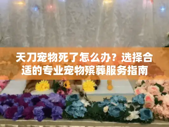 天刀宠物死了怎么办？选择合适的专业宠物殡葬服务指南