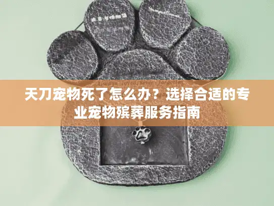 天刀宠物死了怎么办？选择合适的专业宠物殡葬服务指南