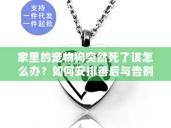 家里的宠物狗突然死了该怎么办?如何安排善后与告别 家里的宠物狗突然死了该怎么办?如何安排善后与告别