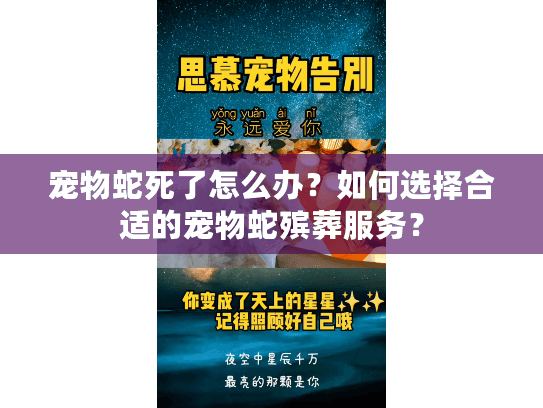 宠物蛇死了怎么办？如何选择合适的宠物蛇殡葬服务？