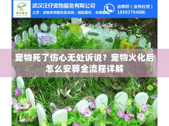 宠物死了伤心无处诉说？宠物火化后怎么安葬全流程详解