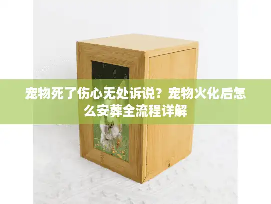 宠物死了伤心无处诉说？宠物火化后怎么安葬全流程详解