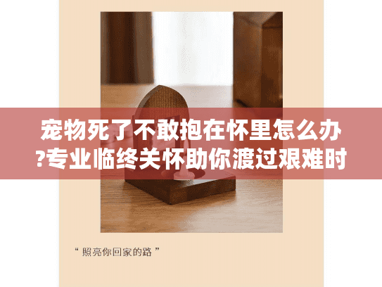 宠物死了不敢抱在怀里怎么办?专业临终关怀助你渡过艰难时刻