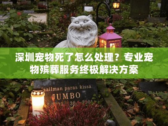 深圳宠物死了怎么处理?专业宠物殡葬服务终极解决方案 深圳宠物死了怎么处理?专业宠物殡葬服务终极解决方案
