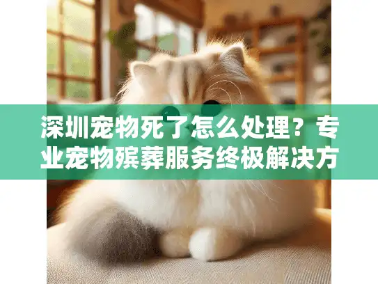 深圳宠物死了怎么处理?专业宠物殡葬服务终极解决方案 深圳宠物死了怎么处理?专业宠物殡葬服务终极解决方案