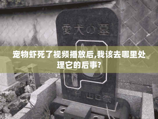 宠物虾死了视频播放后,我该去哪里处理它的后事? 宠物虾死了视频播放后,我该去哪里处理它的后事?