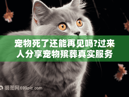 宠物死了还能再见吗?过来人分享宠物殡葬真实服务选择