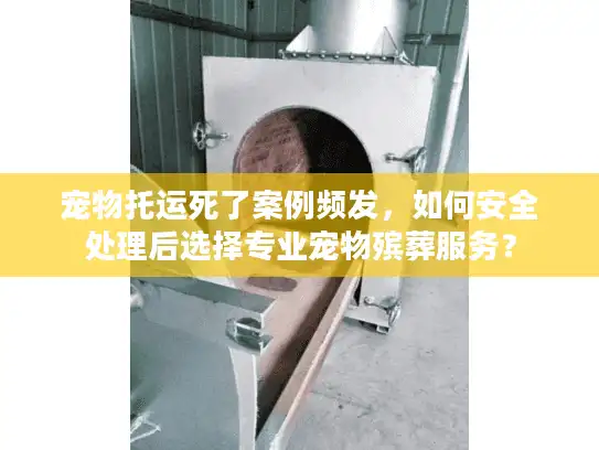 宠物托运死了案例频发，如何安全处理后选择专业宠物殡葬服务？