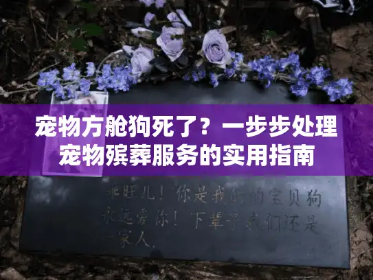 宠物方舱狗死了？一步步处理宠物殡葬服务的实用指南