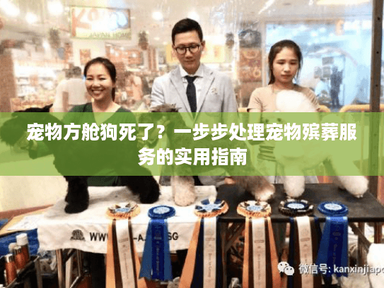 宠物方舱狗死了？一步步处理宠物殡葬服务的实用指南