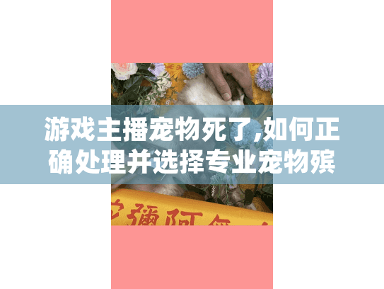 游戏主播宠物死了,如何正确处理并选择专业宠物殡葬服务? 游戏主播宠物死了,如何正确处理并选择专业宠物殡葬服务?