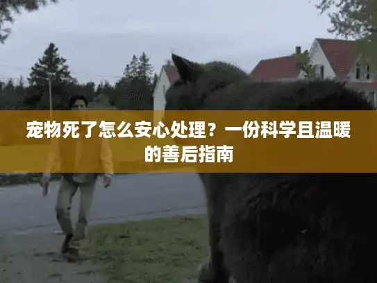 宠物死了怎么安心处理?一份科学且温暖的善后指南 宠物死了怎么安心处理?一份科学且温暖的善后指南