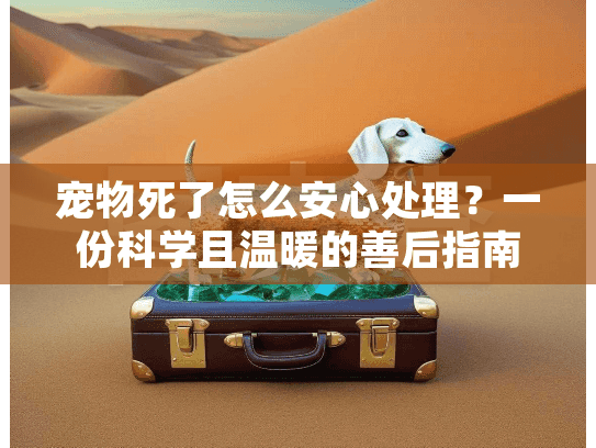 宠物死了怎么安心处理?一份科学且温暖的善后指南 宠物死了怎么安心处理?一份科学且温暖的善后指南
