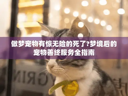 做梦宠物有惊无险的死了?梦境后的宠物善终服务全指南 做梦宠物有惊无险的死了?梦境后的宠物善终服务全指南