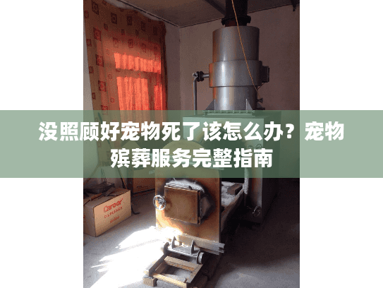 没照顾好宠物死了该怎么办？宠物殡葬服务完整指南