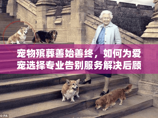 宠物殡葬善始善终,如何为爱宠选择专业告别服务解决后顾之忧? 宠物殡葬善始善终,如何为爱宠选择专业告别服务解决后顾之忧?