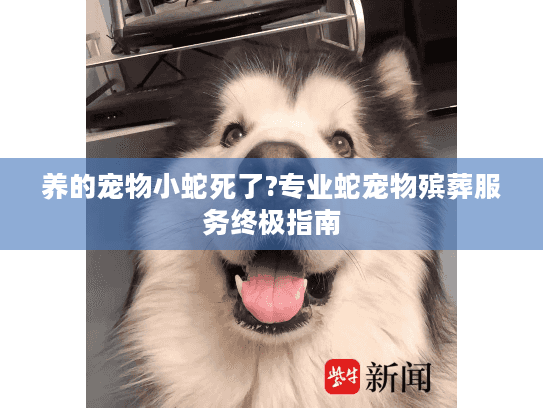 养的宠物小蛇死了?专业蛇宠物殡葬服务终极指南 养的宠物小蛇死了?专业蛇宠物殡葬服务终极指南