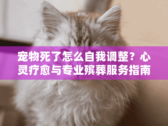 宠物死了怎么自我调整?心灵疗愈与专业殡葬服务指南 宠物死了怎么自我调整?心灵疗愈与专业殡葬服务指南