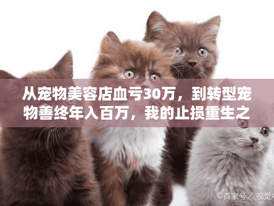 从宠物美容店血亏30万，到转型宠物善终年入百万，我的止损重生之路