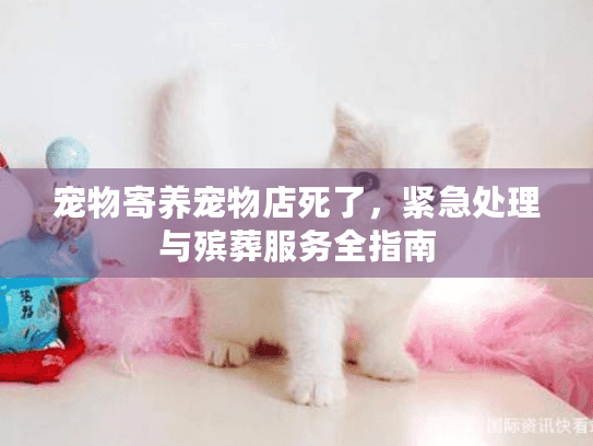 宠物寄养宠物店死了,紧急处理与殡葬服务全指南 宠物寄养宠物店死了,紧急处理与殡葬服务全指南