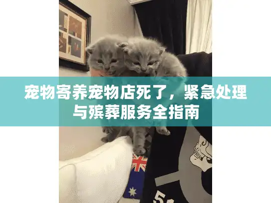 宠物寄养宠物店死了,紧急处理与殡葬服务全指南 宠物寄养宠物店死了,紧急处理与殡葬服务全指南