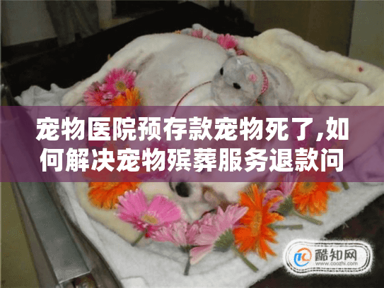 宠物医院预存款宠物死了,如何解决宠物殡葬服务退款问题？