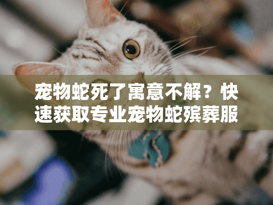 宠物蛇死了寓意不解?快速获取专业宠物蛇殡葬服务指南 宠物蛇死了寓意不解?快速获取专业宠物蛇殡葬服务指南