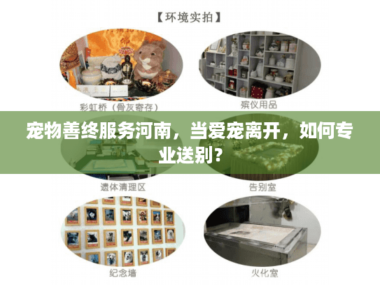 宠物善终服务河南，当爱宠离开，如何专业送别？