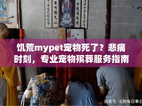 饥荒mypet宠物死了？悲痛时刻，专业宠物殡葬服务指南